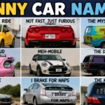 Funny Car Names