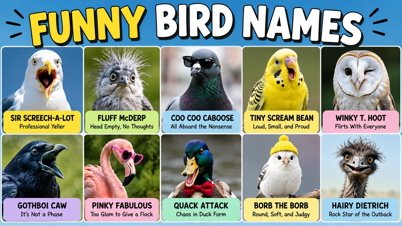 Funny Bird Names